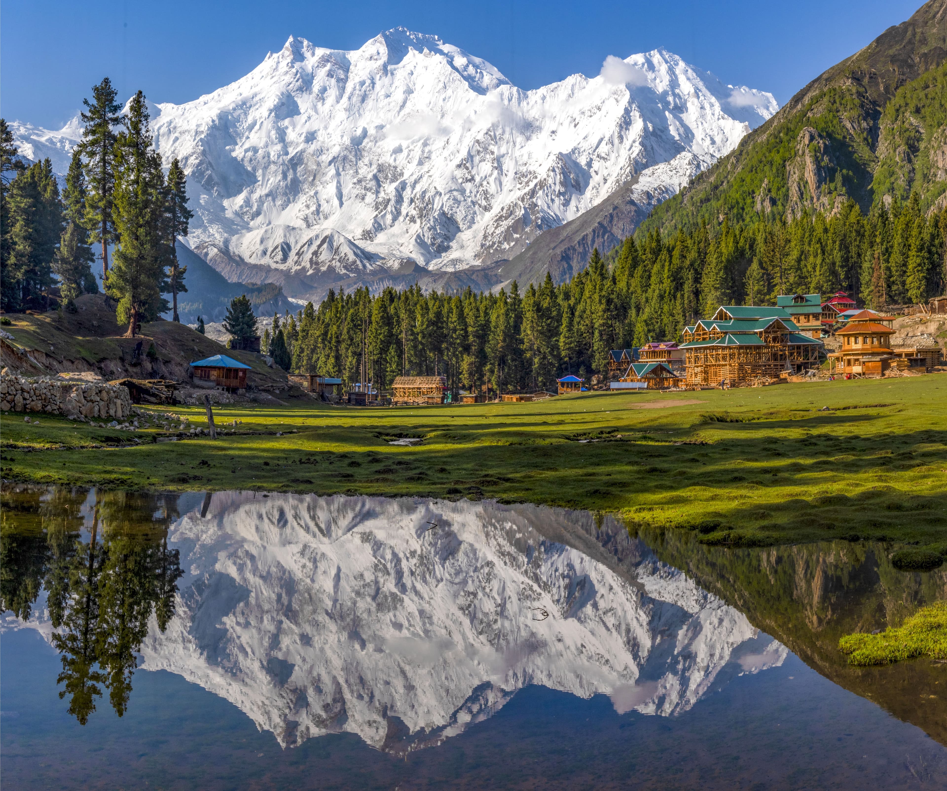 Alpine meadow beneath Nanga Parbat